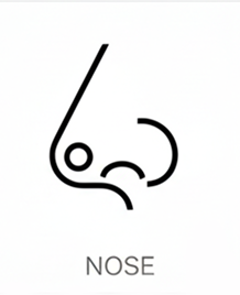 nose-services